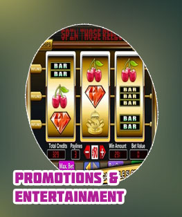 Dog track casino near me